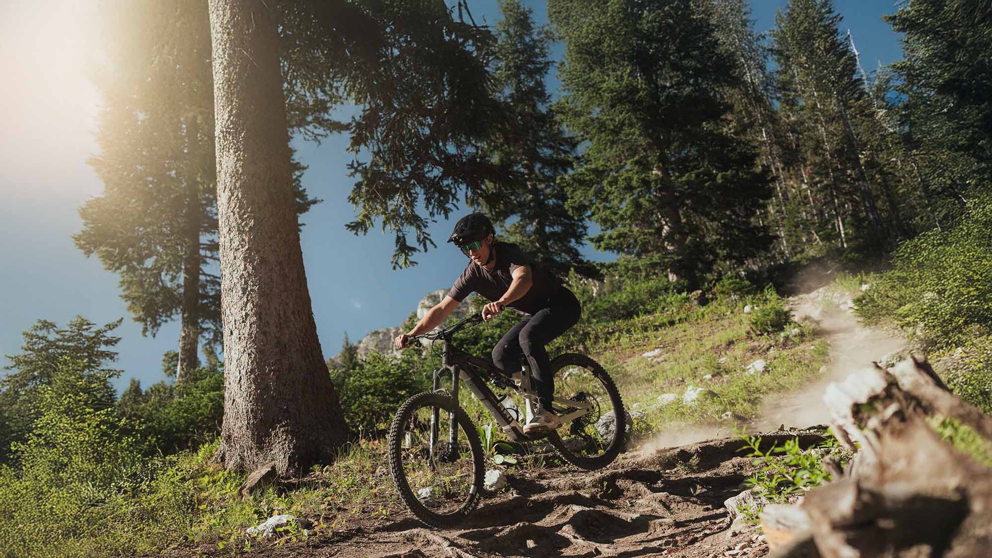 Elevate Your Ride with Ari